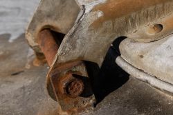 HD Rost
